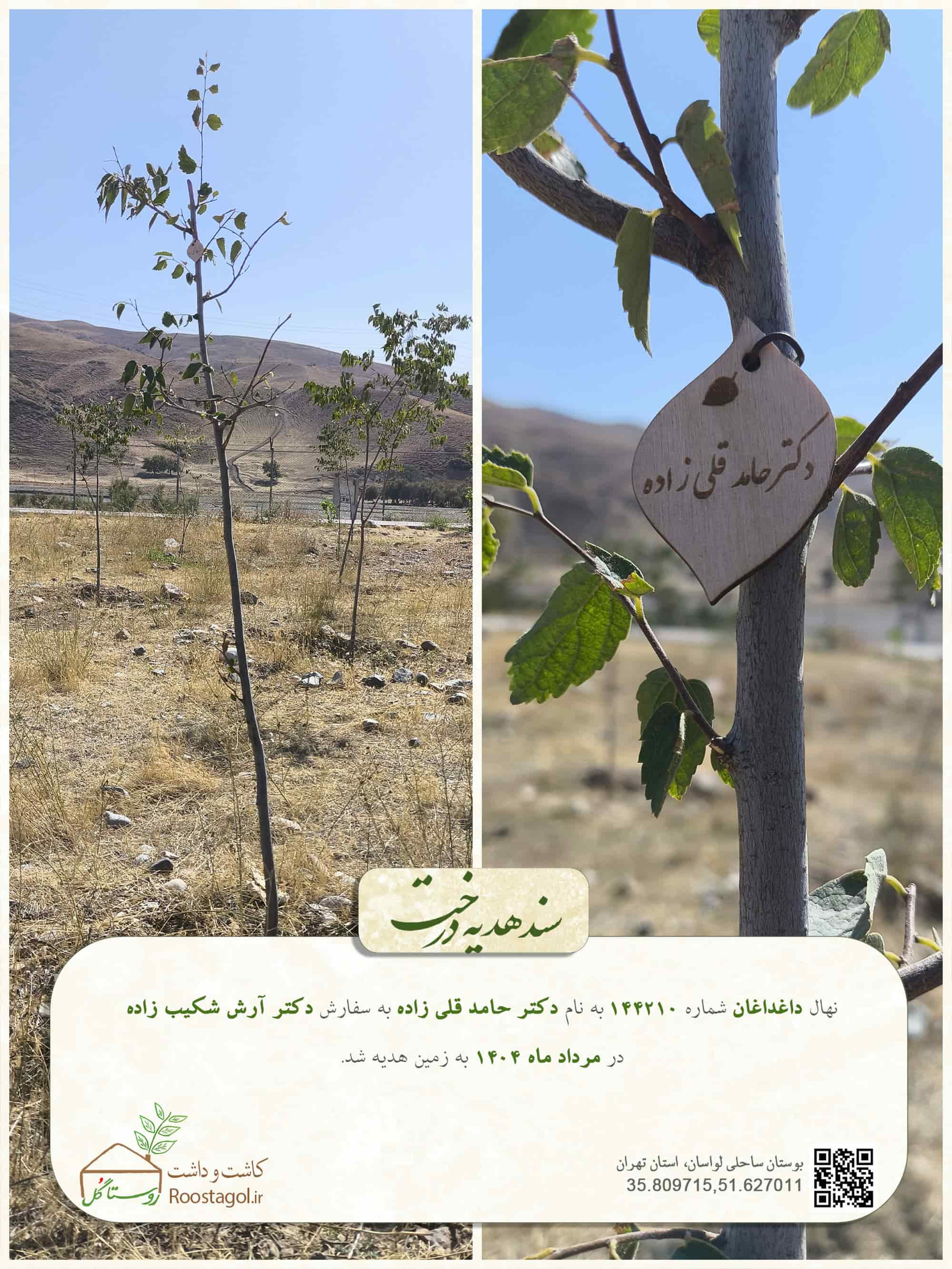 دکتر حامد قلی زاده